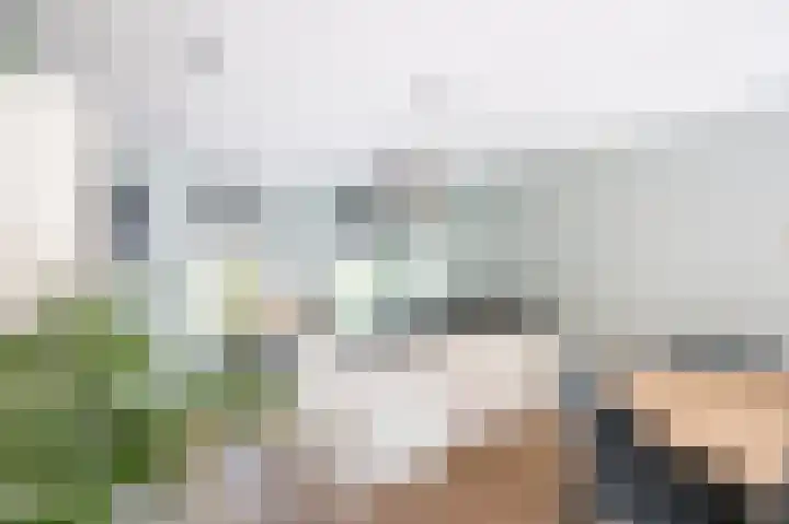 Jacob van Looyhof 5 Gorinchem thumbnail 17