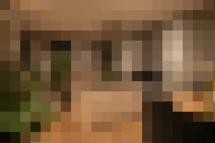 Jacob van Looyhof 5 Gorinchem thumbnail 18
