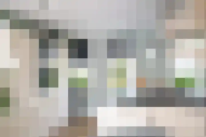 Jacob van Looyhof 5 Gorinchem thumbnail 19