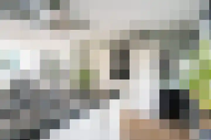 Jacob van Looyhof 5 Gorinchem thumbnail 20