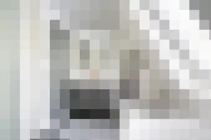 Jacob van Looyhof 5 Gorinchem thumbnail 21