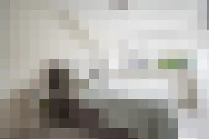 Jacob van Looyhof 5 Gorinchem thumbnail 23