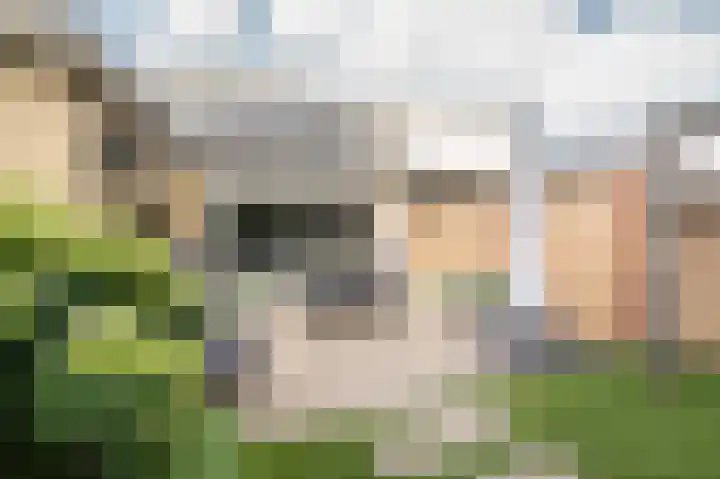 Jacob van Looyhof 5 Gorinchem thumbnail 28