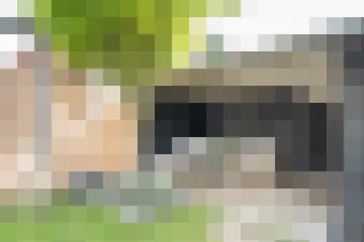 Jacob van Looyhof 5 Gorinchem thumbnail 32