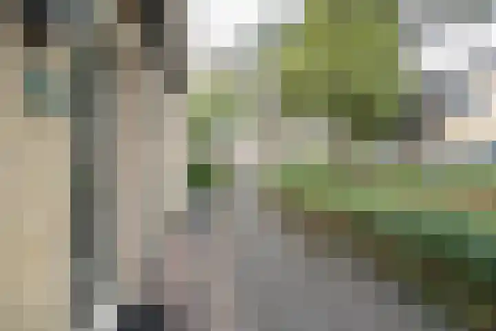 Jacob van Looyhof 5 Gorinchem thumbnail 35