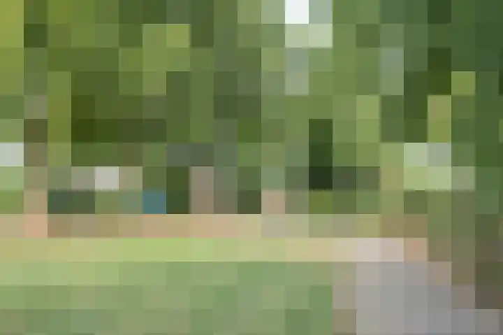 Jacob van Looyhof 5 Gorinchem thumbnail 36