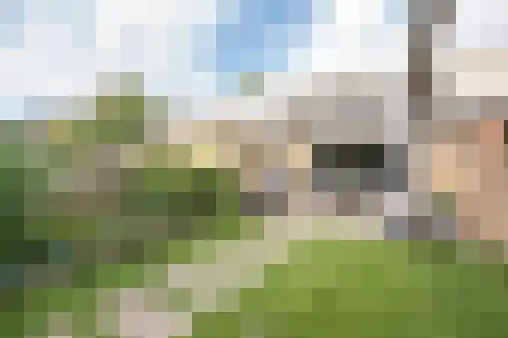 Jacob van Looyhof 5 Gorinchem thumbnail 4