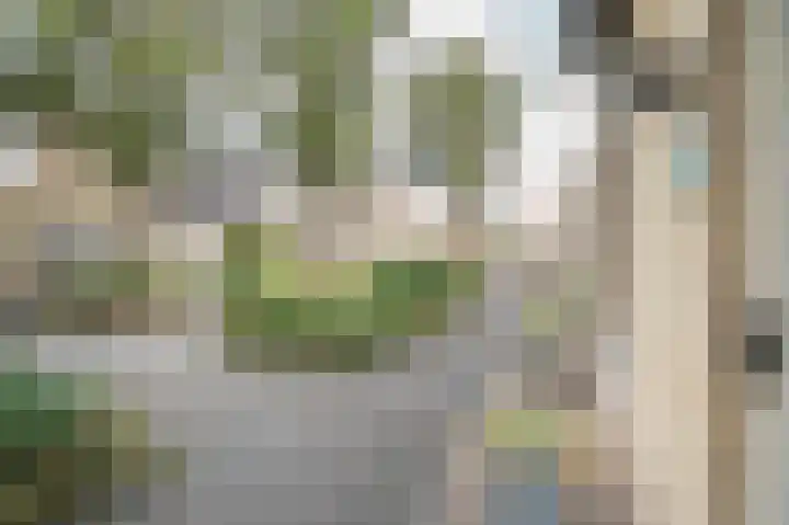 Jacob van Looyhof 5 Gorinchem thumbnail 5
