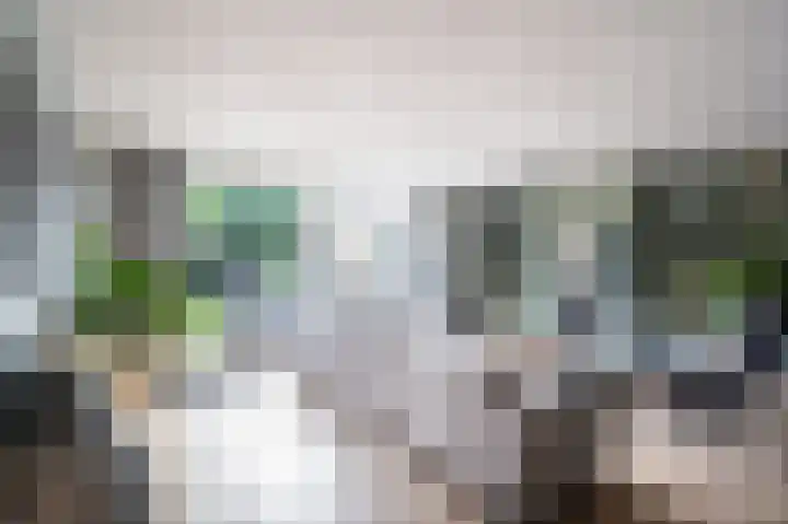 Jacob van Looyhof 5 Gorinchem thumbnail 8