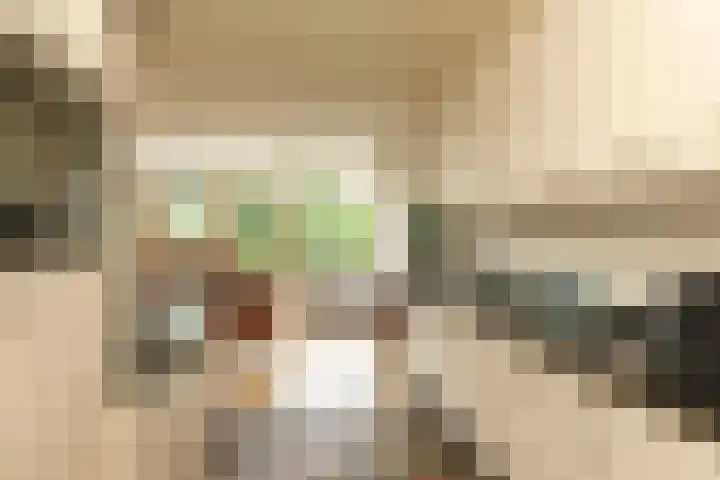 Jacob van Maerlantlaan 20 Hilversum thumbnail 10
