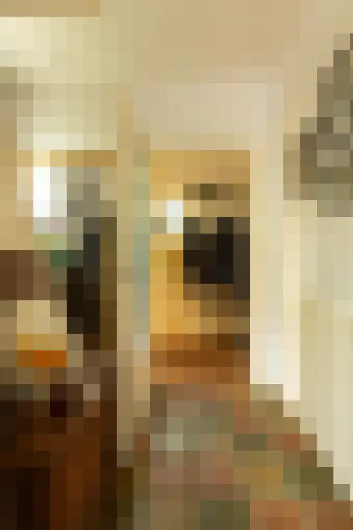 Jacob van Maerlantlaan 20 Hilversum thumbnail 11