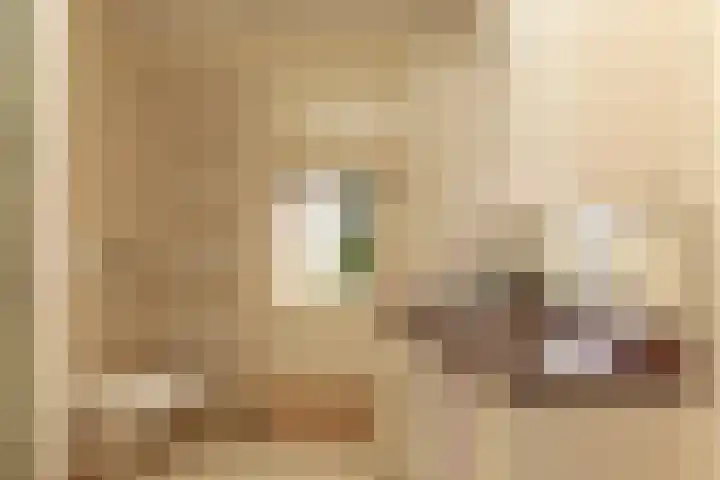 Jacob van Maerlantlaan 20 Hilversum thumbnail 16