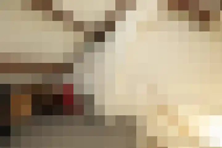 Jacob van Maerlantlaan 20 Hilversum thumbnail 24