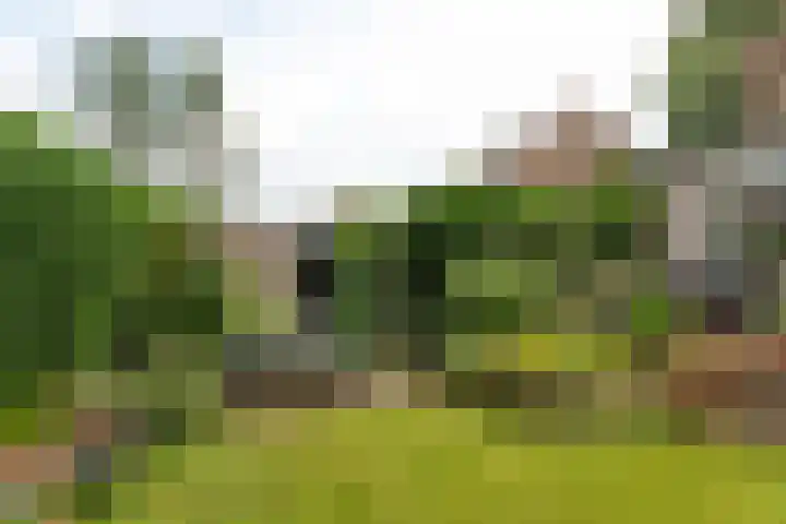 Jacob van Maerlantlaan 20 Hilversum thumbnail 25