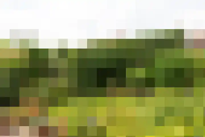 Jacob van Maerlantlaan 20 Hilversum thumbnail 28