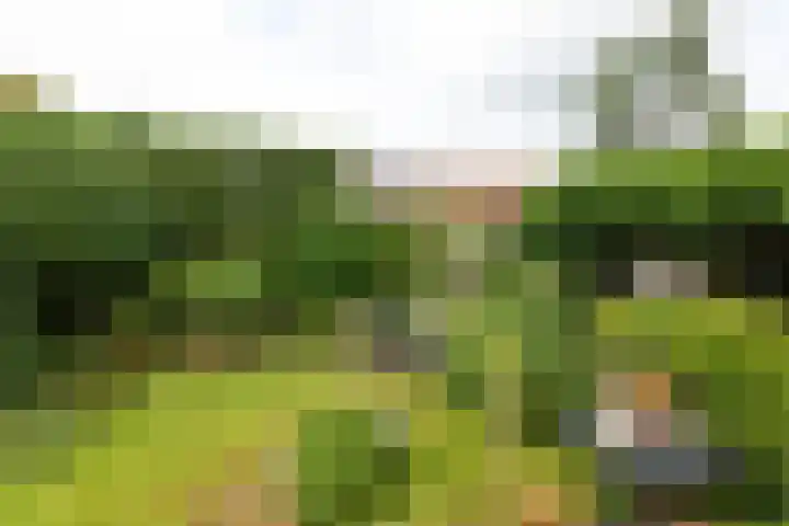 Jacob van Maerlantlaan 20 Hilversum thumbnail 29