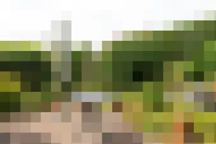 Jacob van Maerlantlaan 20 Hilversum thumbnail 30