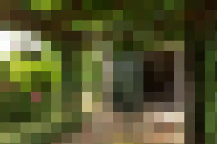 Jacob van Maerlantlaan 20 Hilversum thumbnail 31