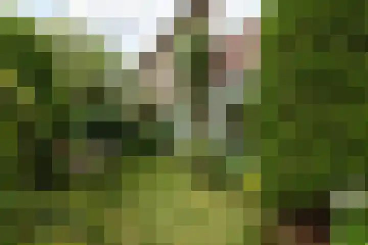 Jacob van Maerlantlaan 20 Hilversum thumbnail 32