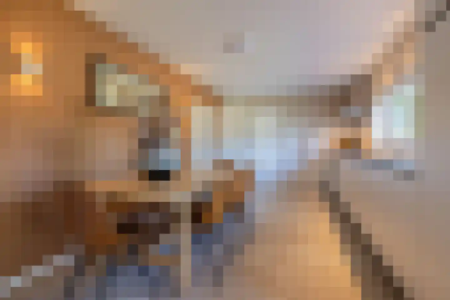 Jacob van Maerlantlaan 24 Eindhoven thumbnail 15