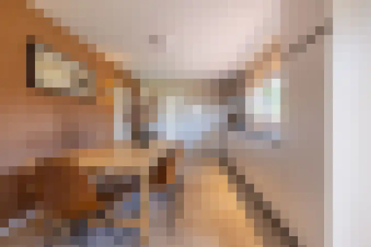 Jacob van Maerlantlaan 24 Eindhoven thumbnail 16