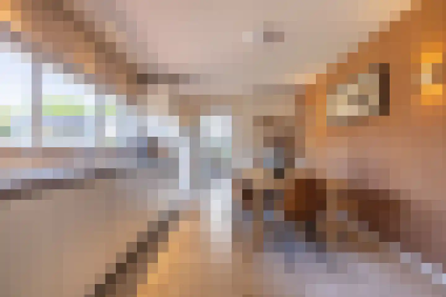 Jacob van Maerlantlaan 24 Eindhoven thumbnail 17