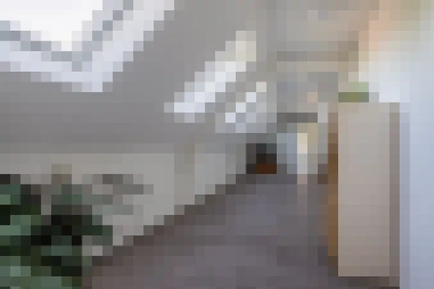 Jacob van Maerlantlaan 24 Eindhoven thumbnail 40