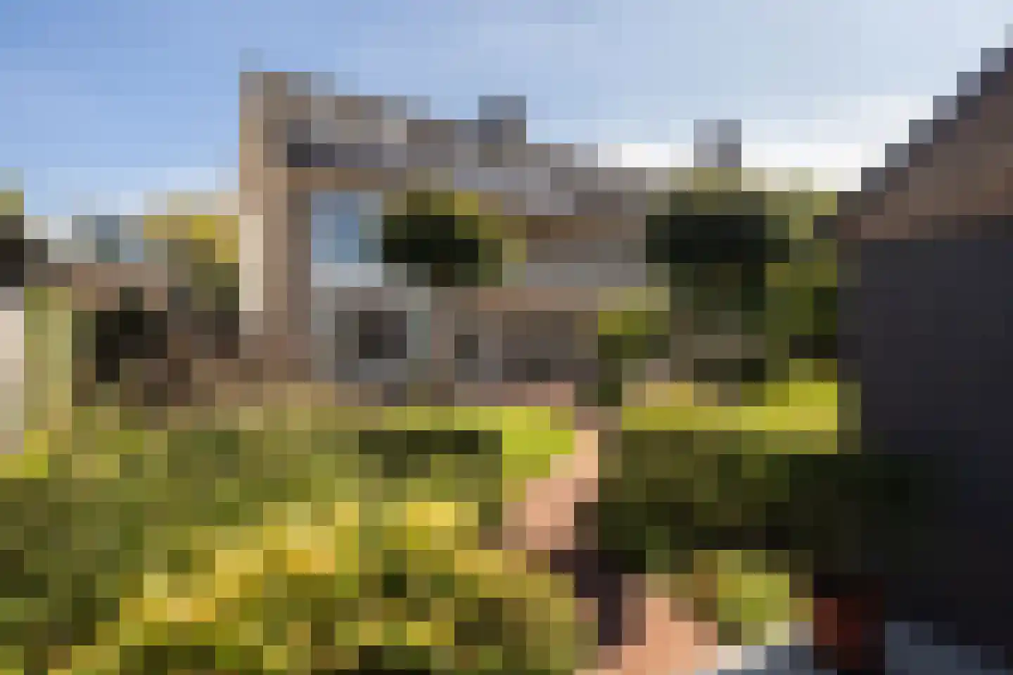 Jacob van Maerlantlaan 24 Eindhoven thumbnail 48