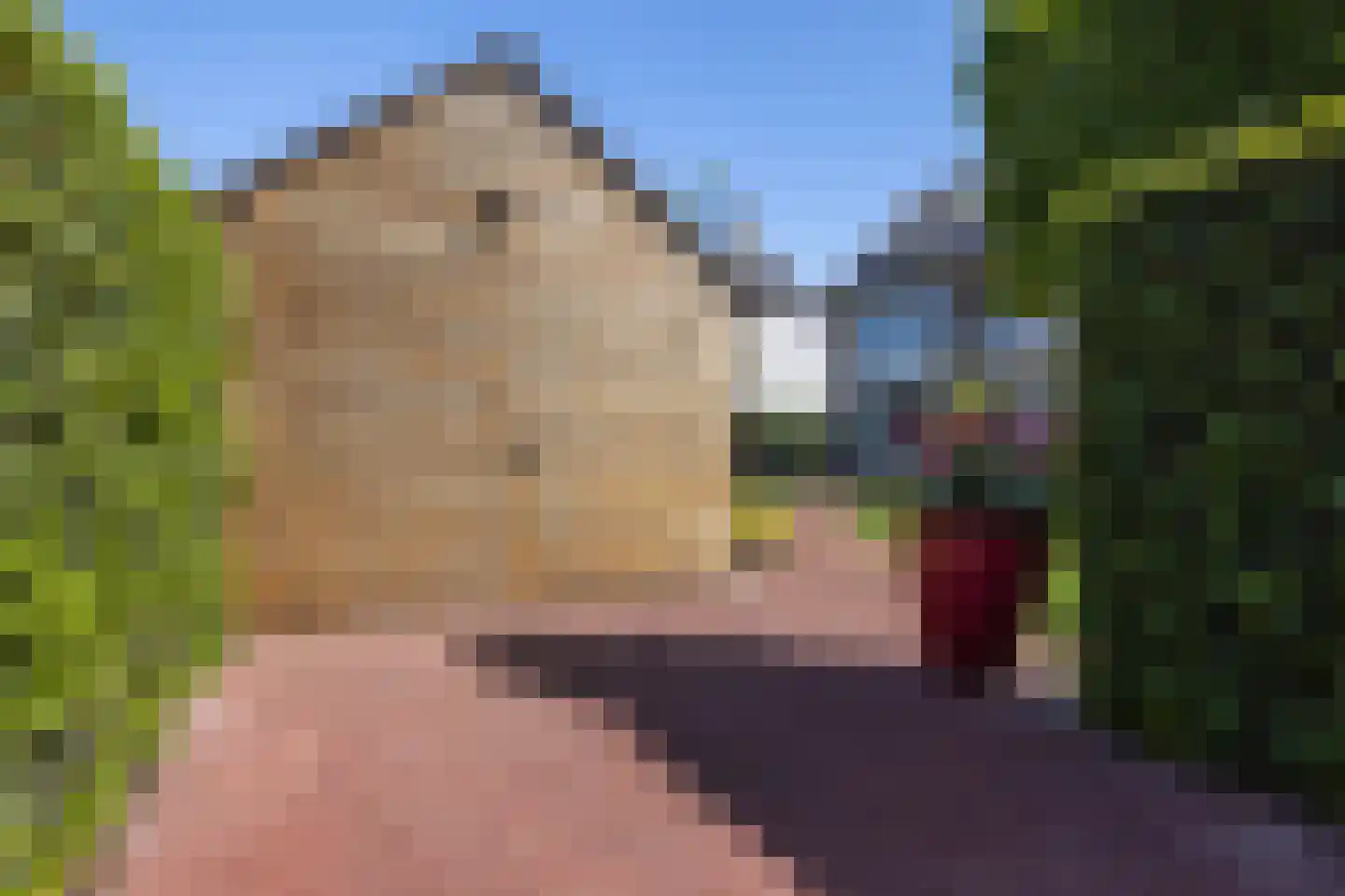Jacob van Maerlantlaan 24 Eindhoven thumbnail 56