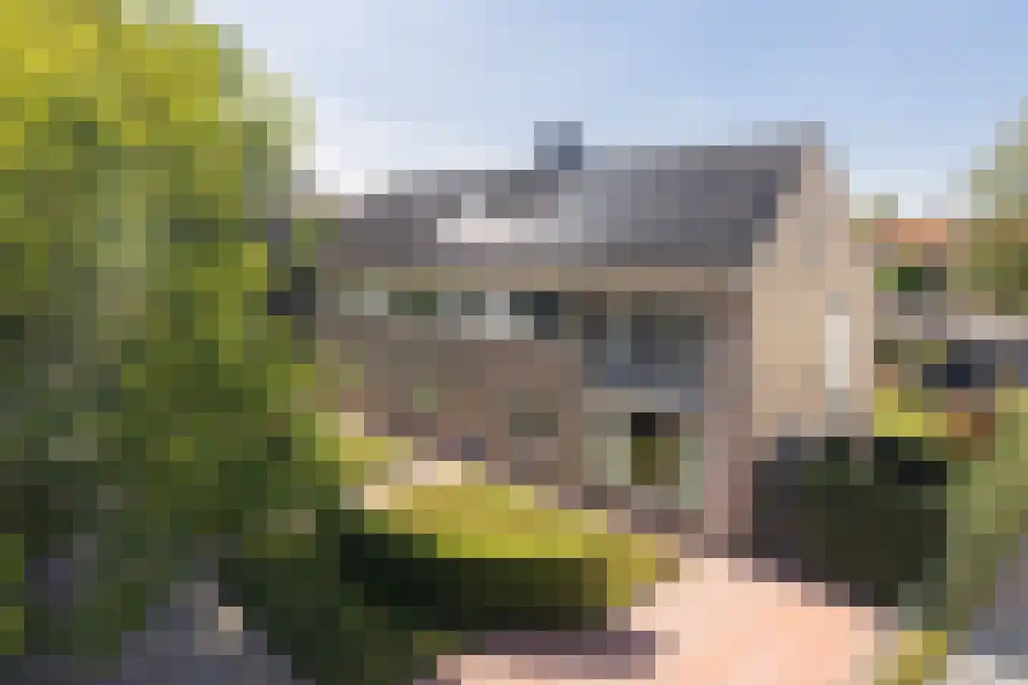 Jacob van Maerlantlaan 24 Eindhoven thumbnail 7