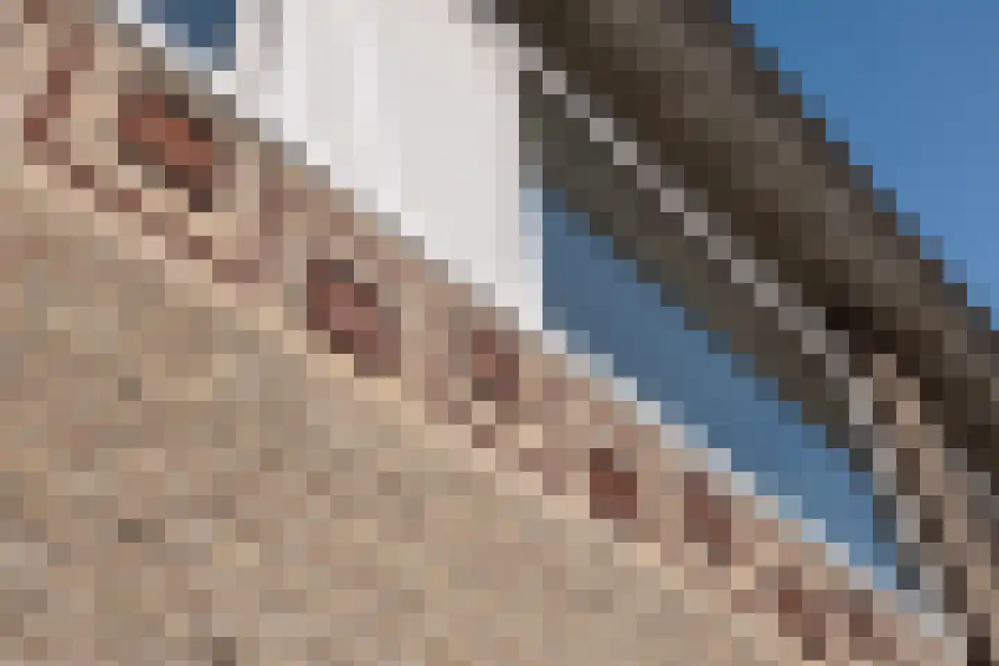 Jacob van Maerlantlaan 24 Eindhoven thumbnail 8