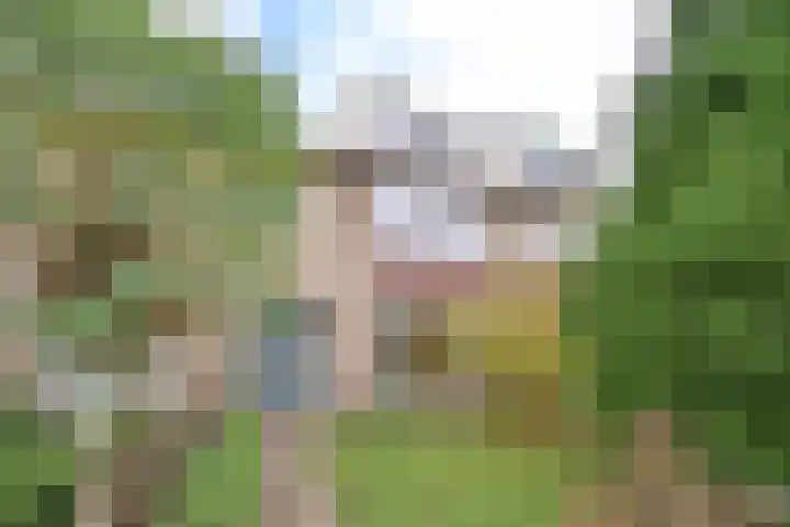 Jacob van Maerlantlaan 34 Hilversum thumbnail 22