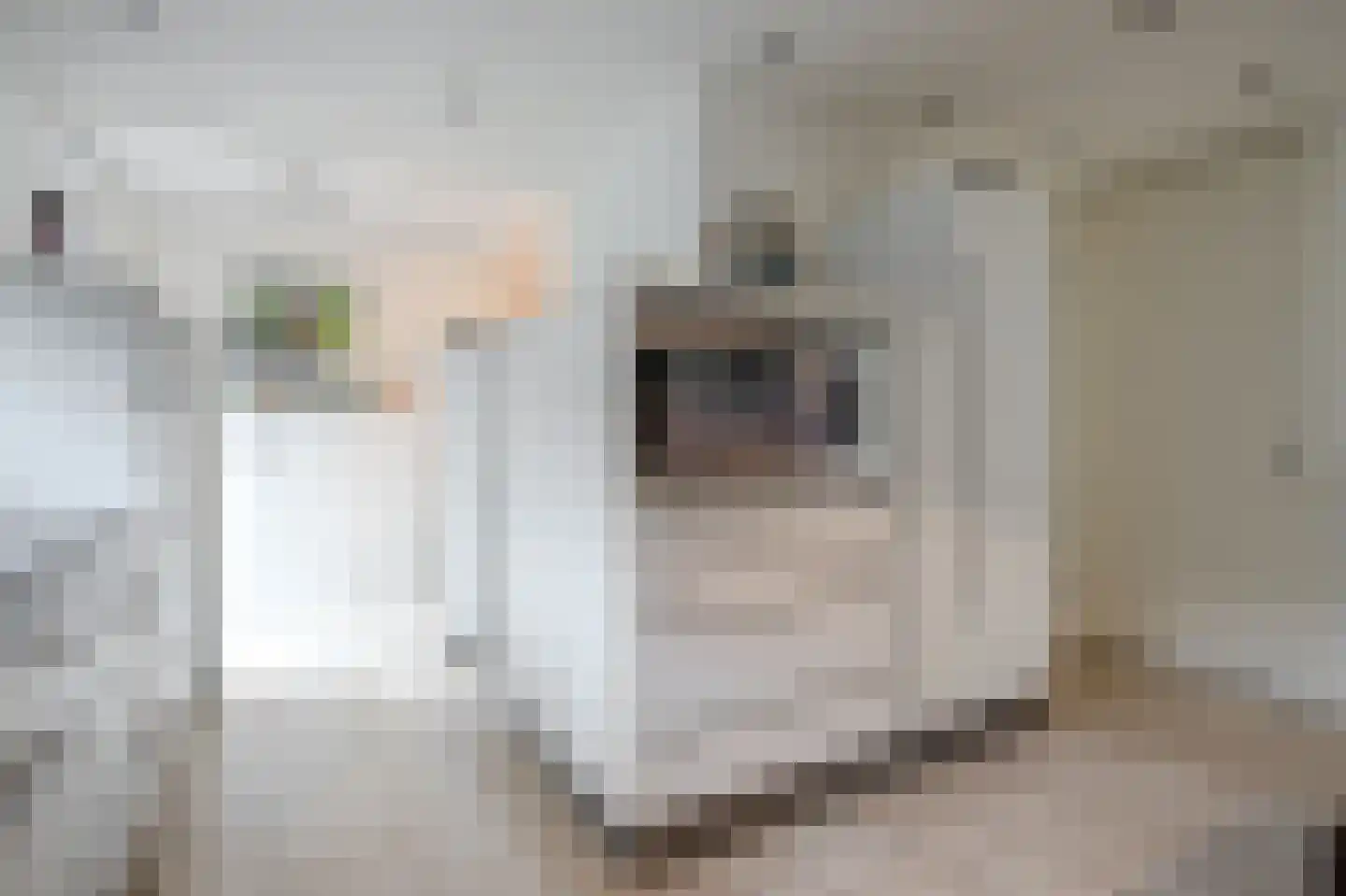 Jacob van Maerlantlaan 34 Sittard thumbnail 11