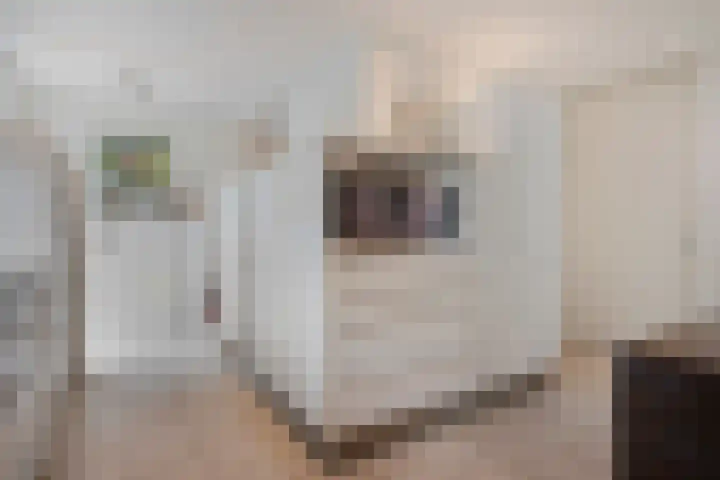 Jacob van Maerlantlaan 34 Sittard thumbnail 22
