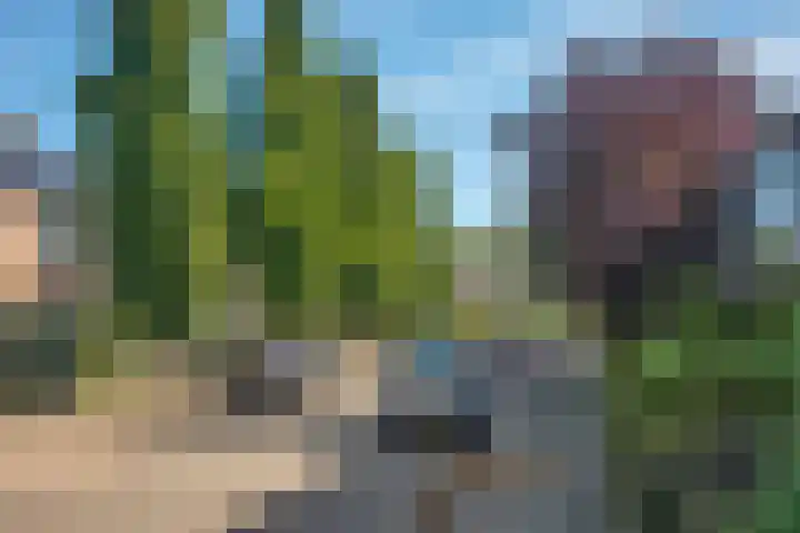 Jacob van Maerlantstraat 3 Hengelo thumbnail 27