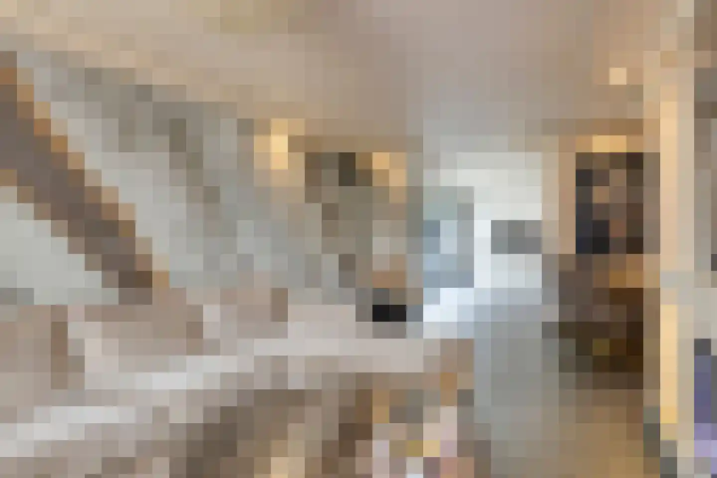 Jacob van Maerlantstraat 54 's-Hertogenbosch thumbnail 10