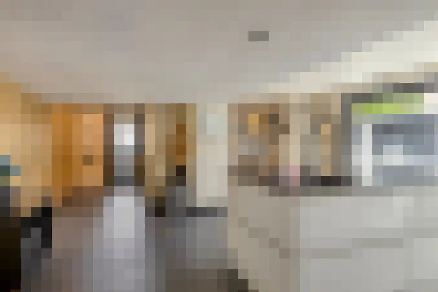 Jacob van Maerlantstraat 54 's-Hertogenbosch thumbnail 16