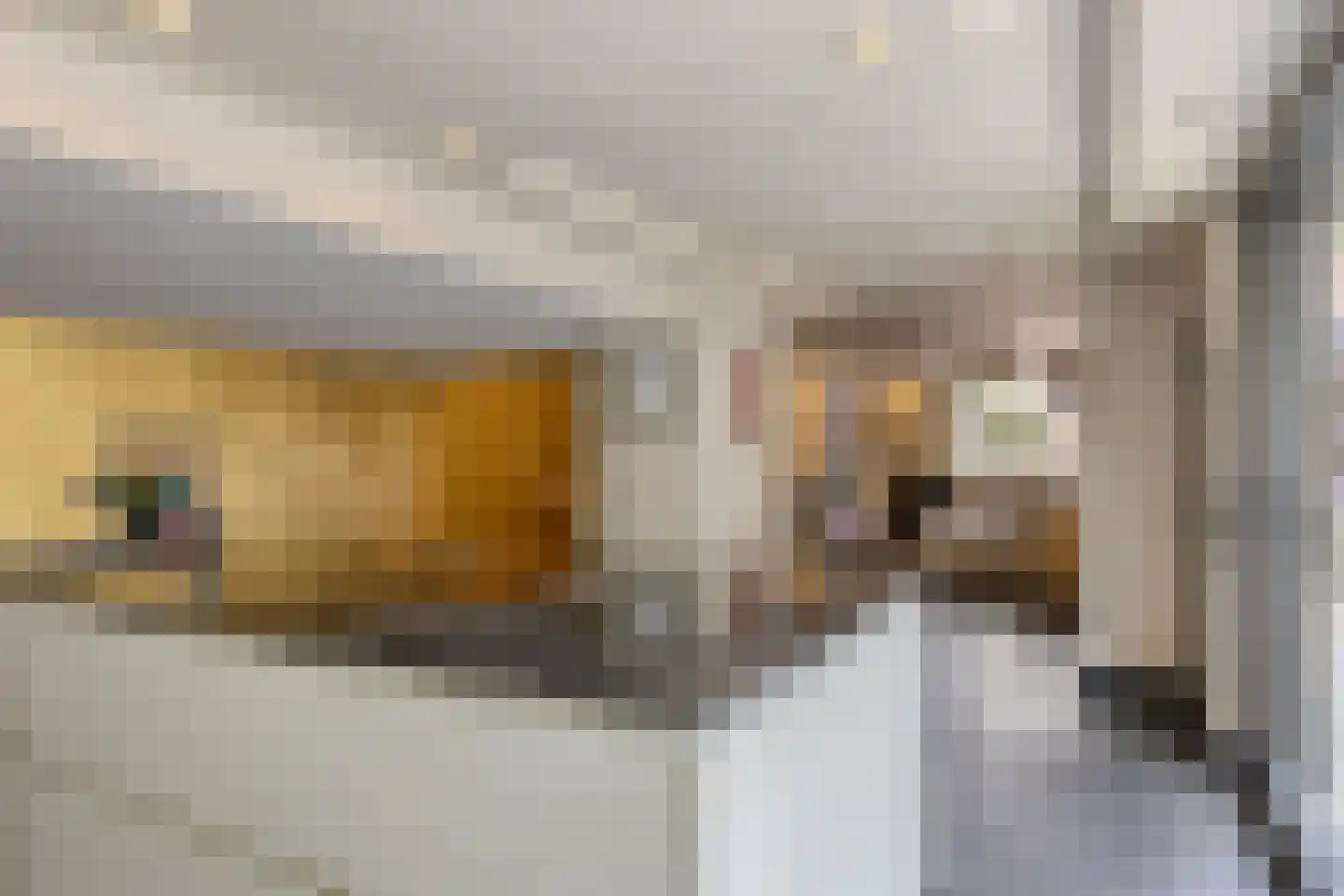 Jacob van Maerlantstraat 54 's-Hertogenbosch thumbnail 17