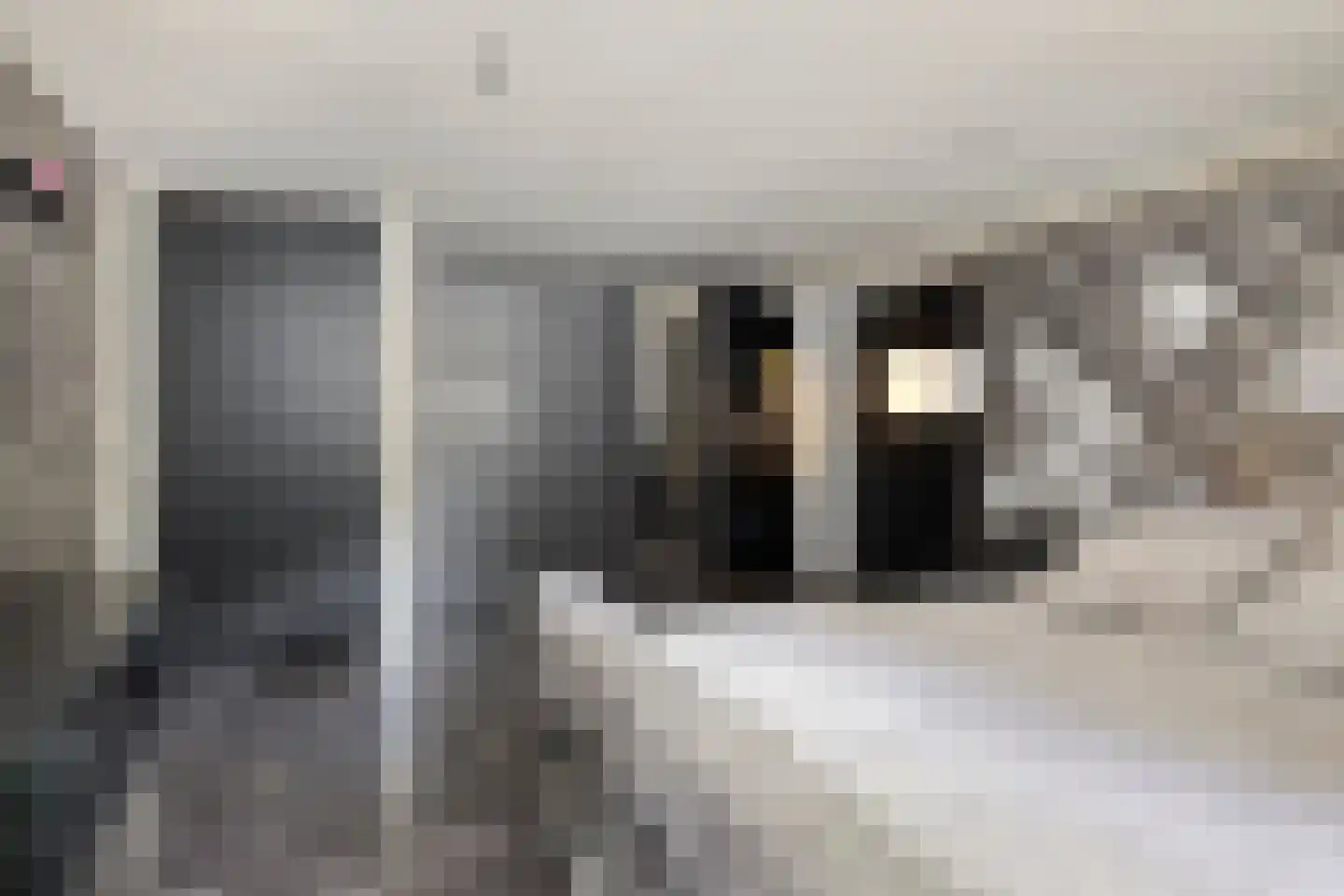 Jacob van Maerlantstraat 54 's-Hertogenbosch thumbnail 20
