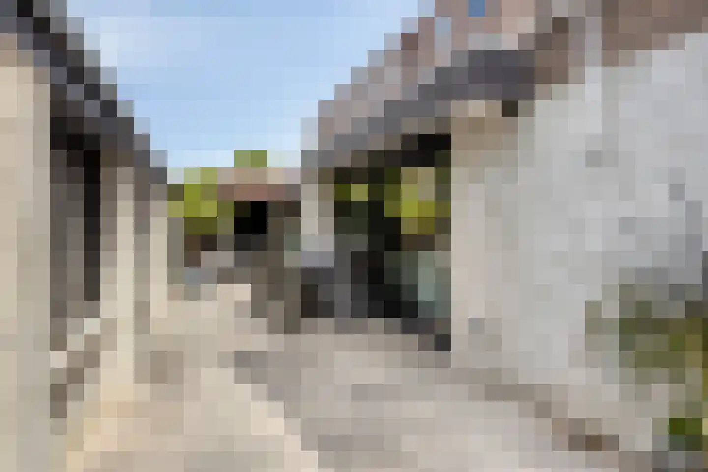 Jacob van Maerlantstraat 54 's-Hertogenbosch thumbnail 35