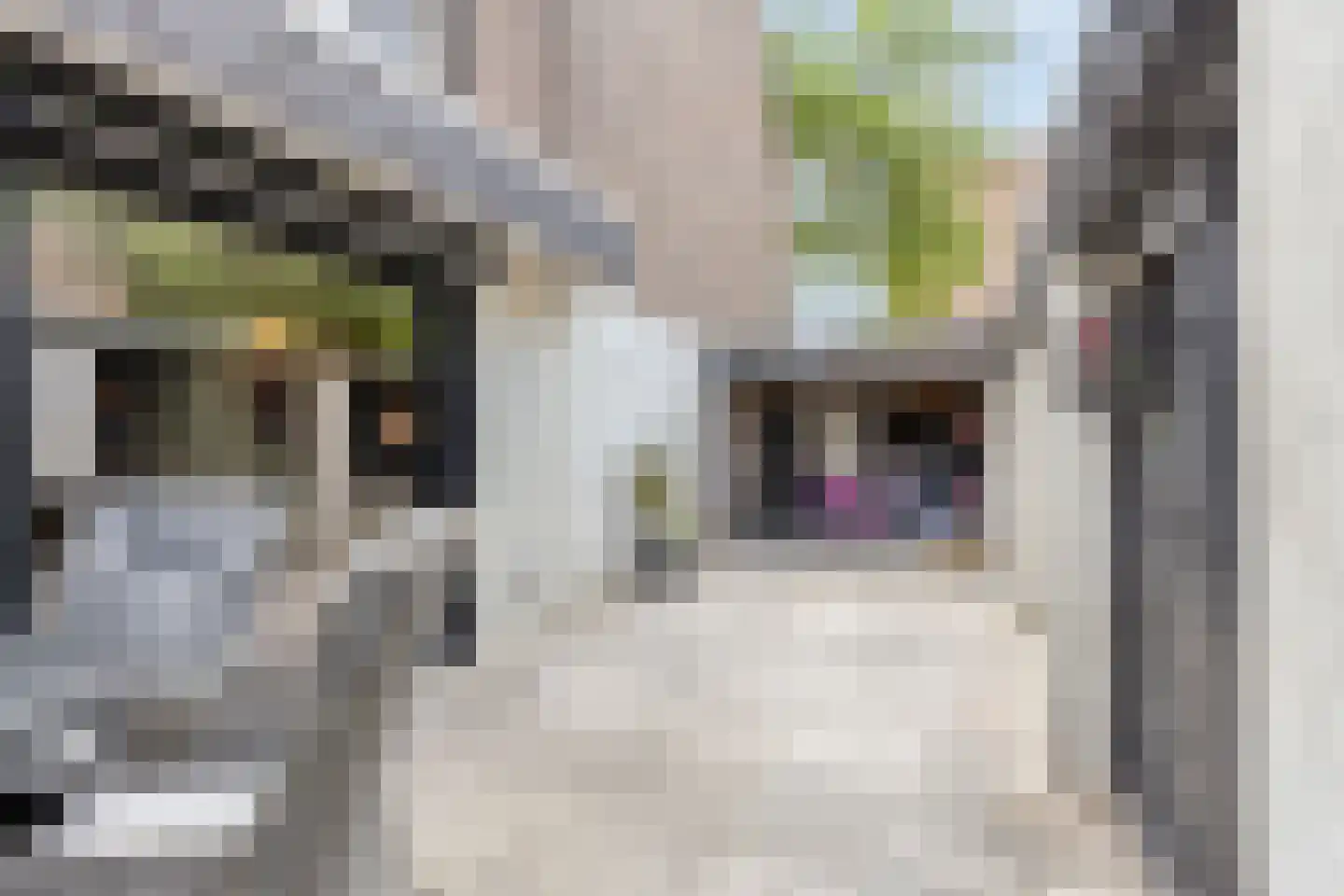 Jacob van Maerlantstraat 54 's-Hertogenbosch thumbnail 37