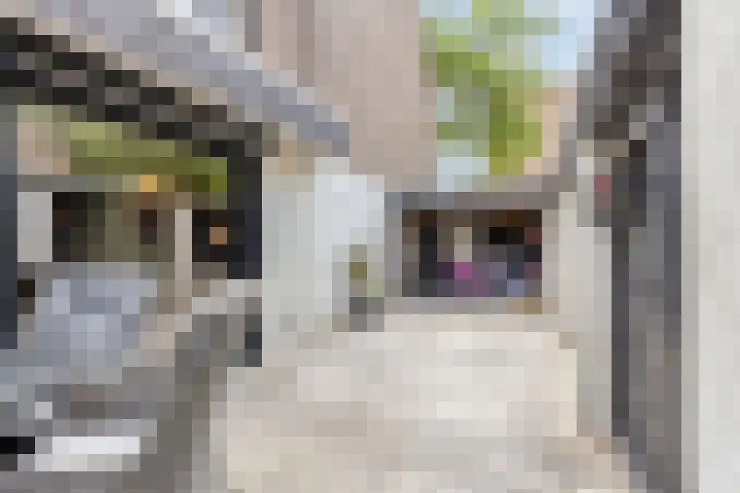 Jacob van Maerlantstraat 54 's-Hertogenbosch thumbnail 38
