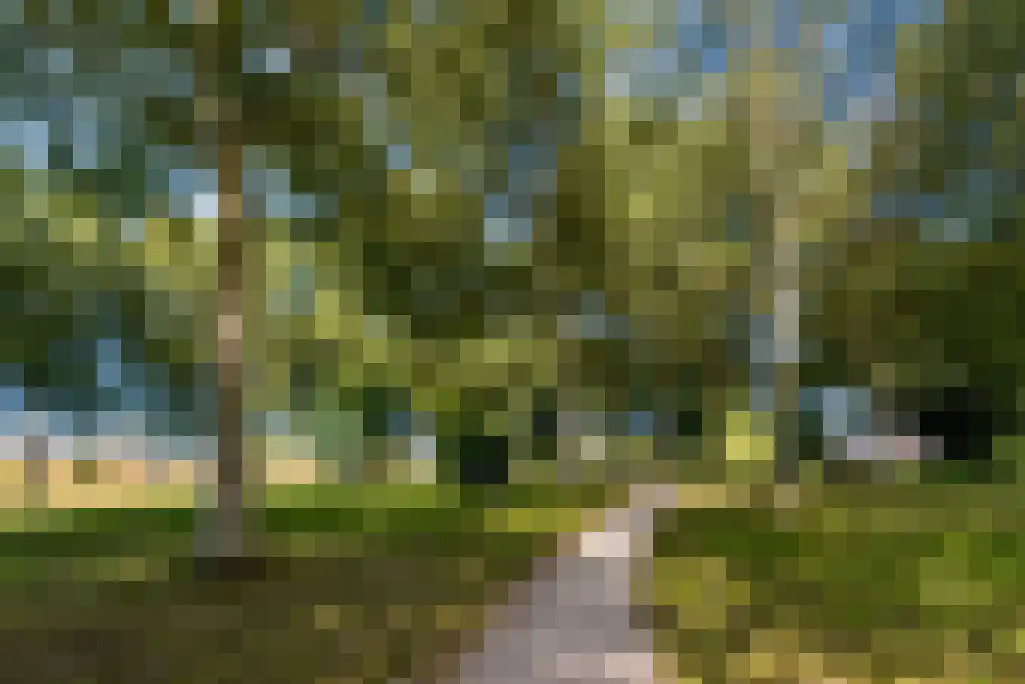 Jacob van Maerlantstraat 56 Almere thumbnail 51