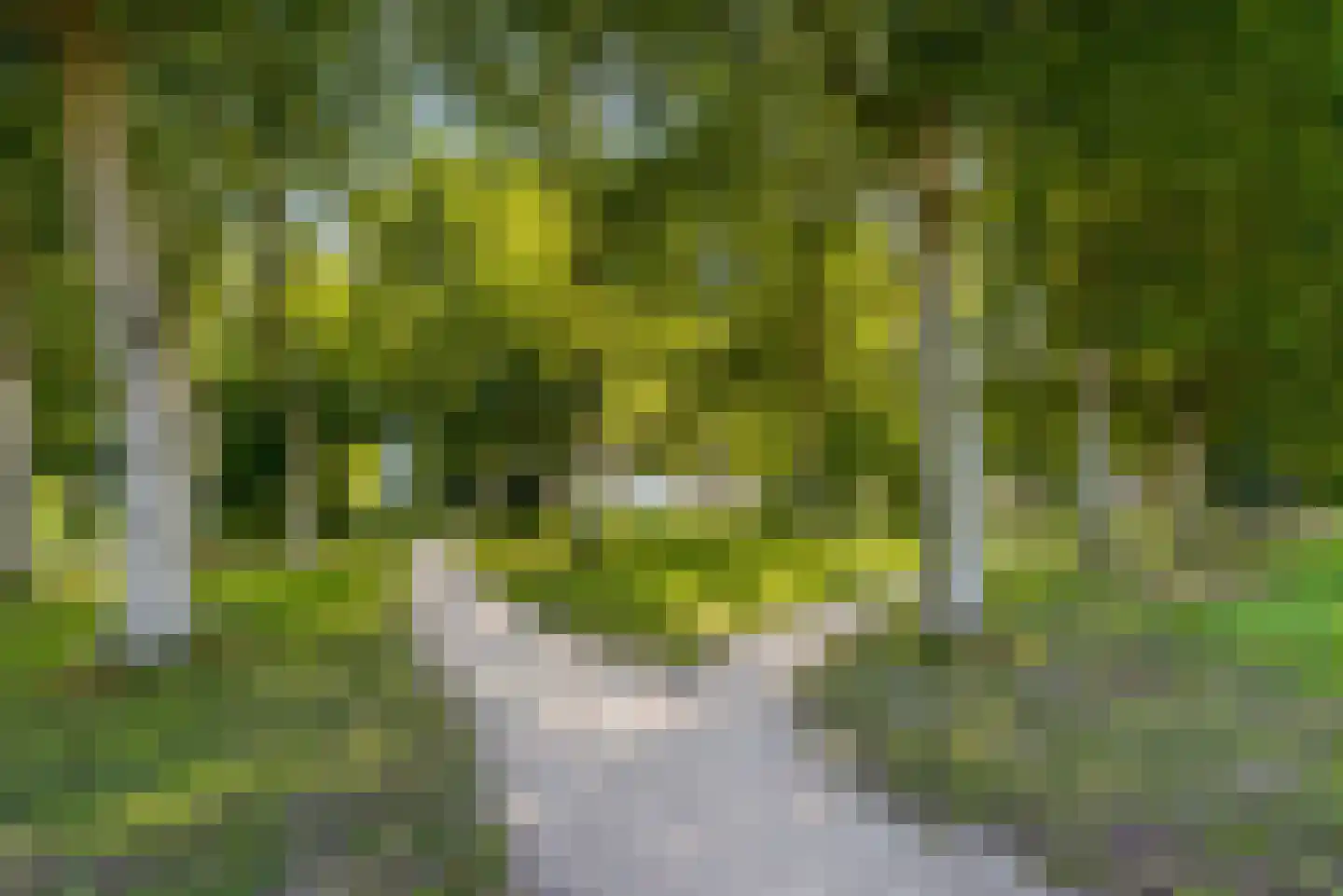 Jacob van Maerlantstraat 56 Almere thumbnail 53