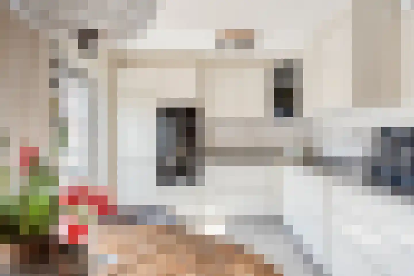 Jacob van Marisring 2 Helden thumbnail 11