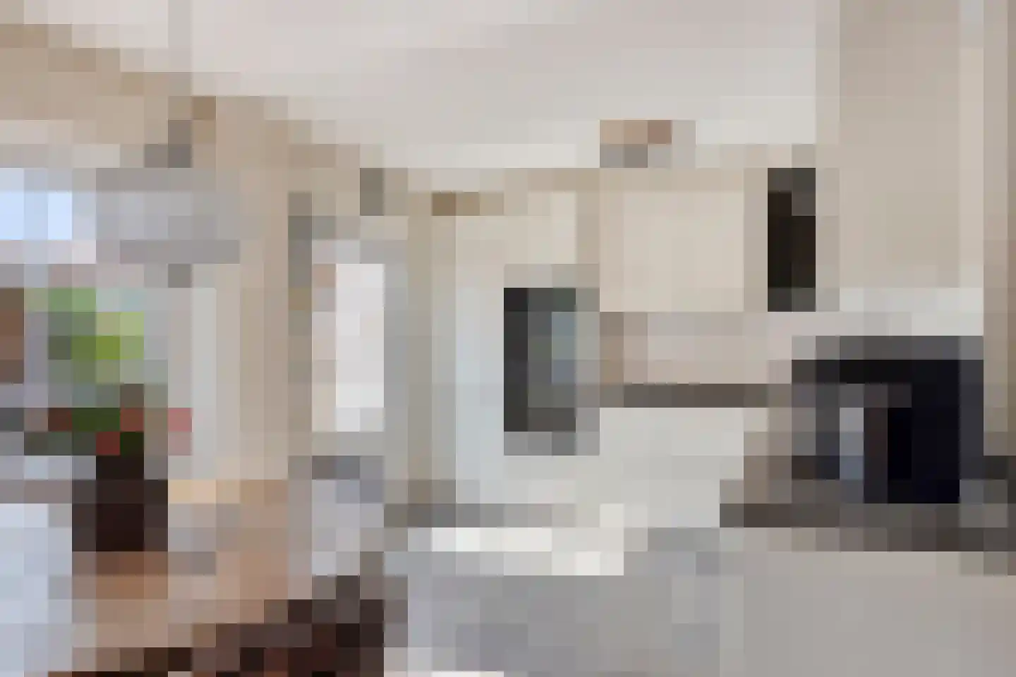 Jacob van Marisring 2 Helden thumbnail 12
