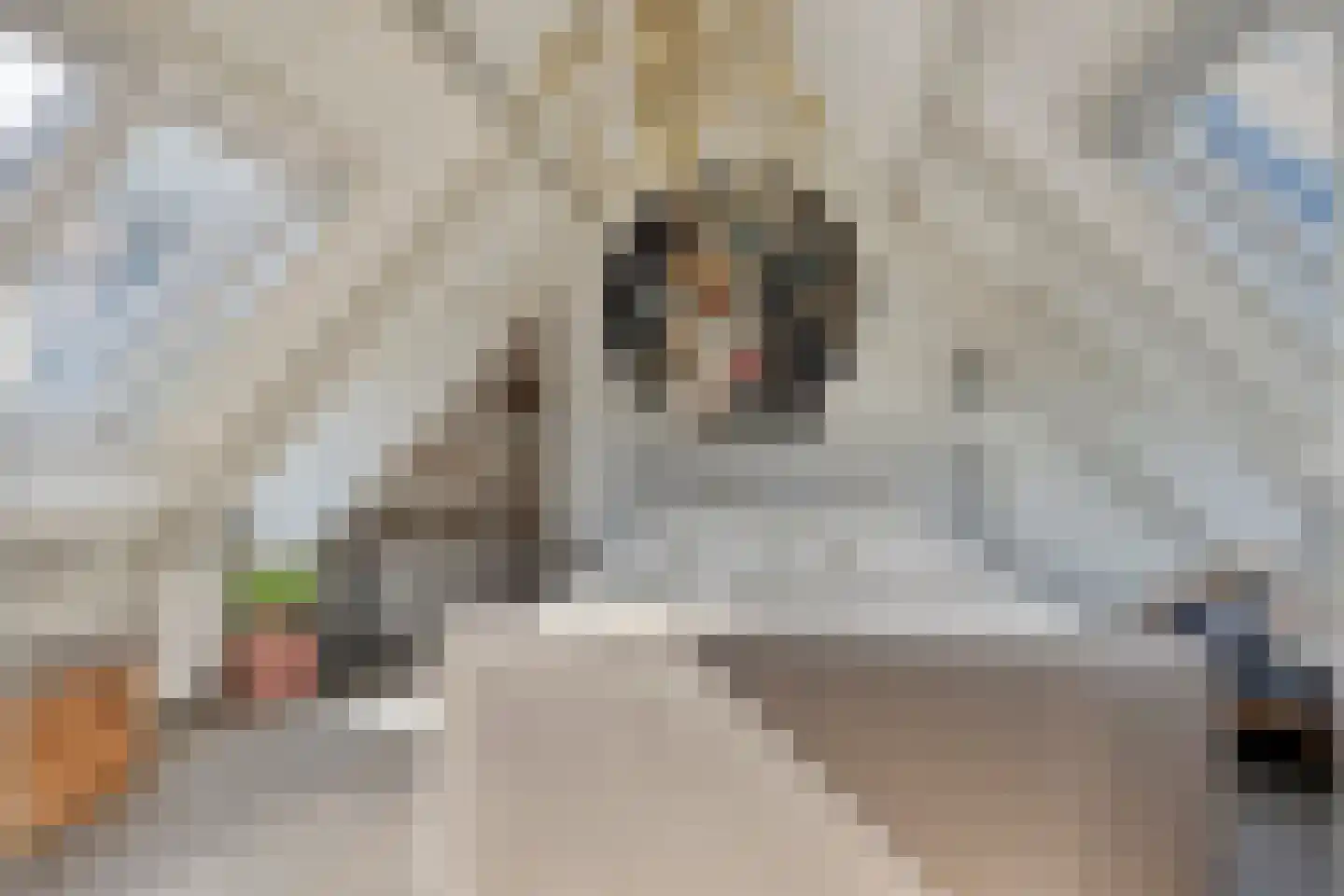 Jacob van Marisring 2 Helden thumbnail 16