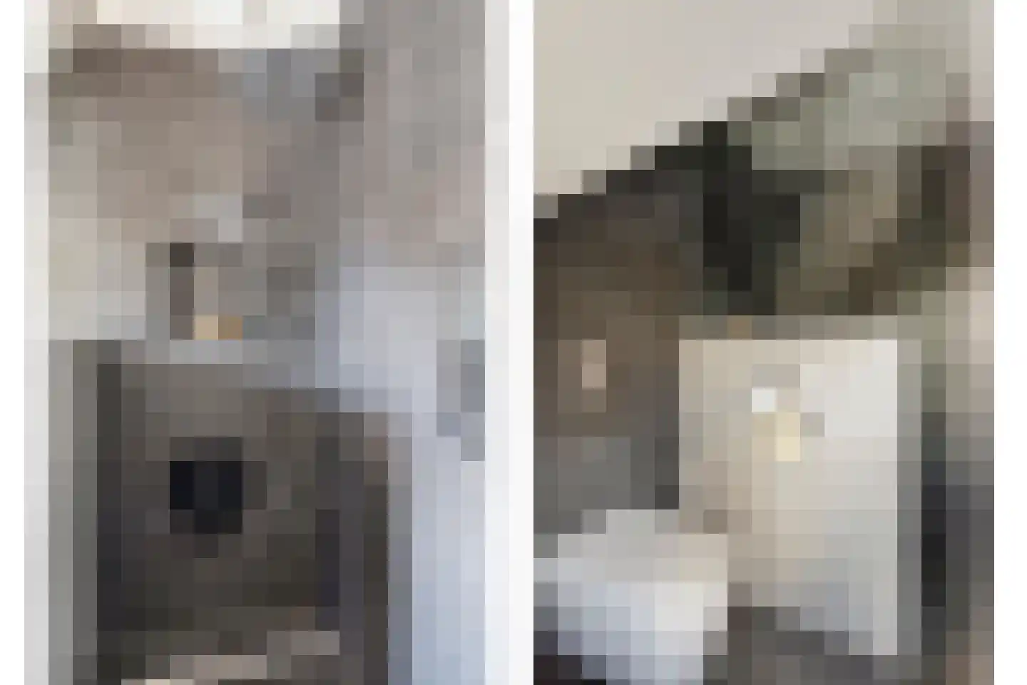 Jacob van Marisring 2 Helden thumbnail 23