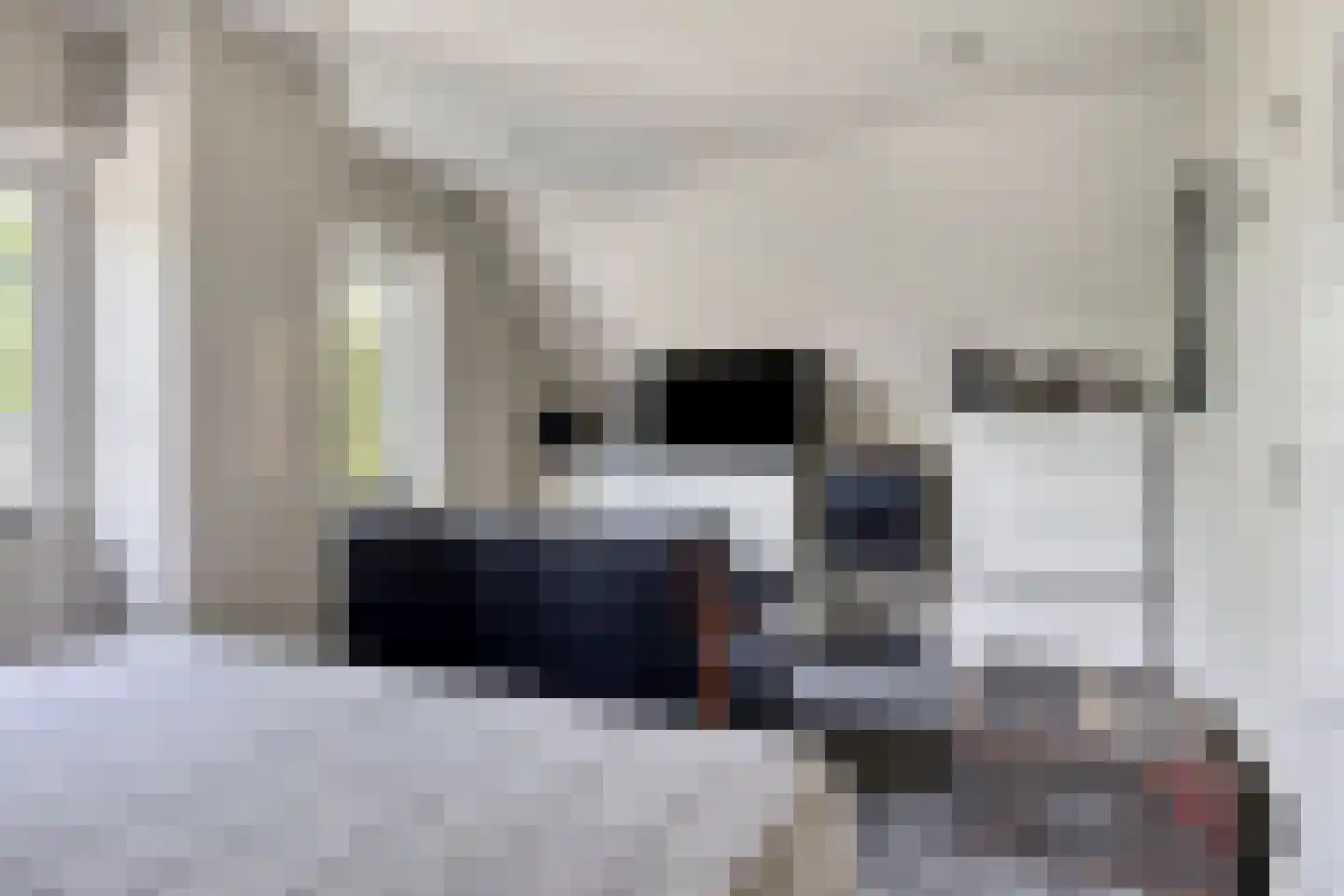 Jacob van Marisring 2 Helden thumbnail 26