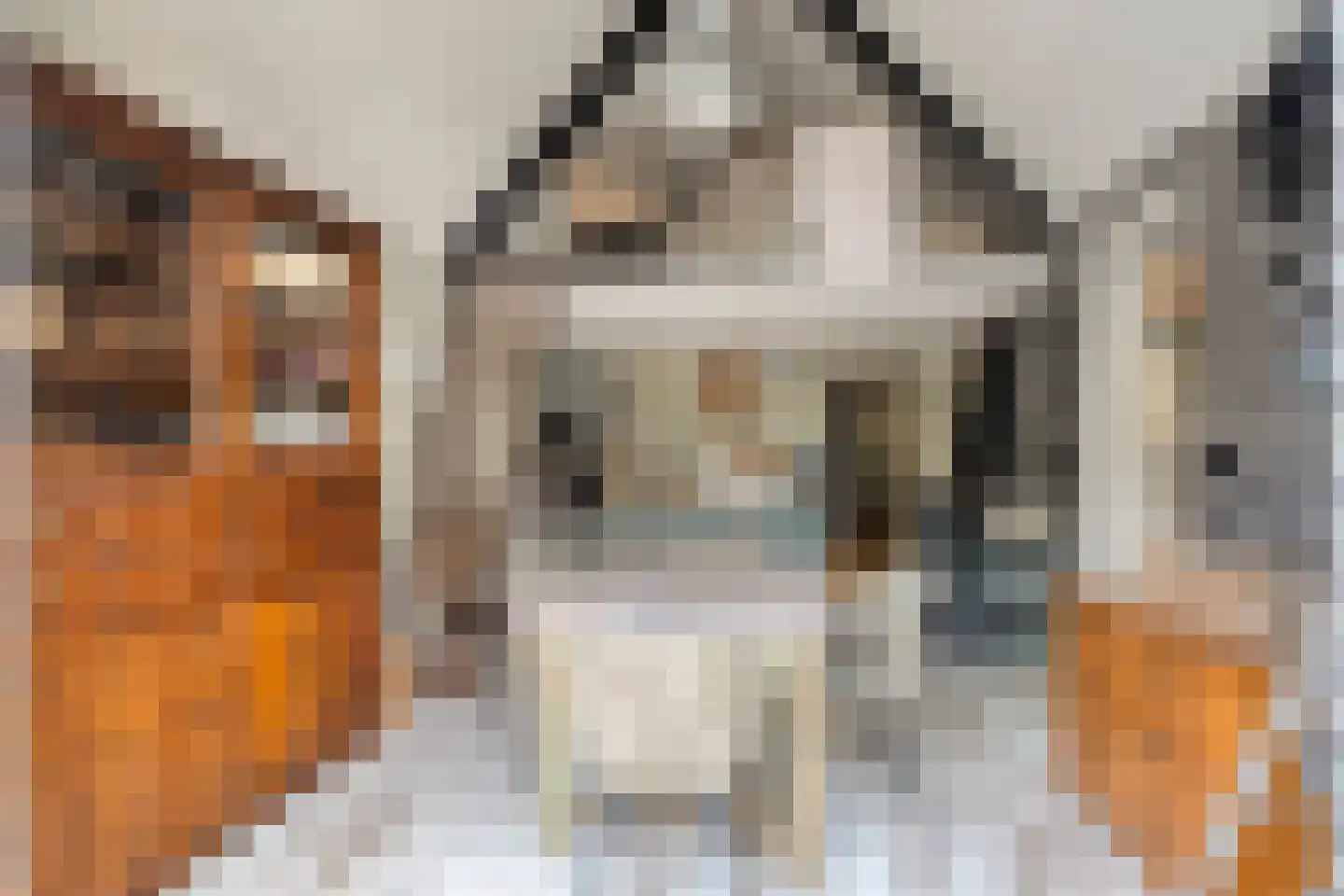 Jacob van Marisring 2 Helden thumbnail 28